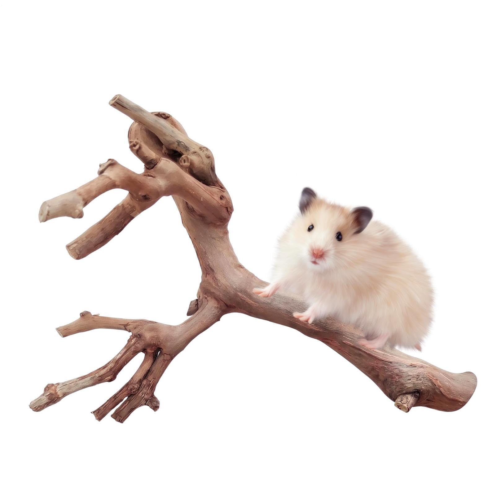 Hamster Enrichment Toys, 5.9 Inches Natural Grape Vine Climbing Branches