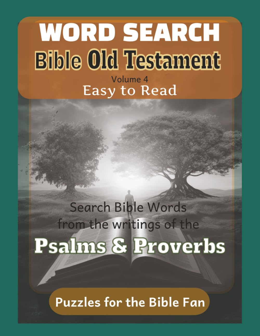 Bible Old Testament Word Search - Volume 4: Psalms and Proverbs