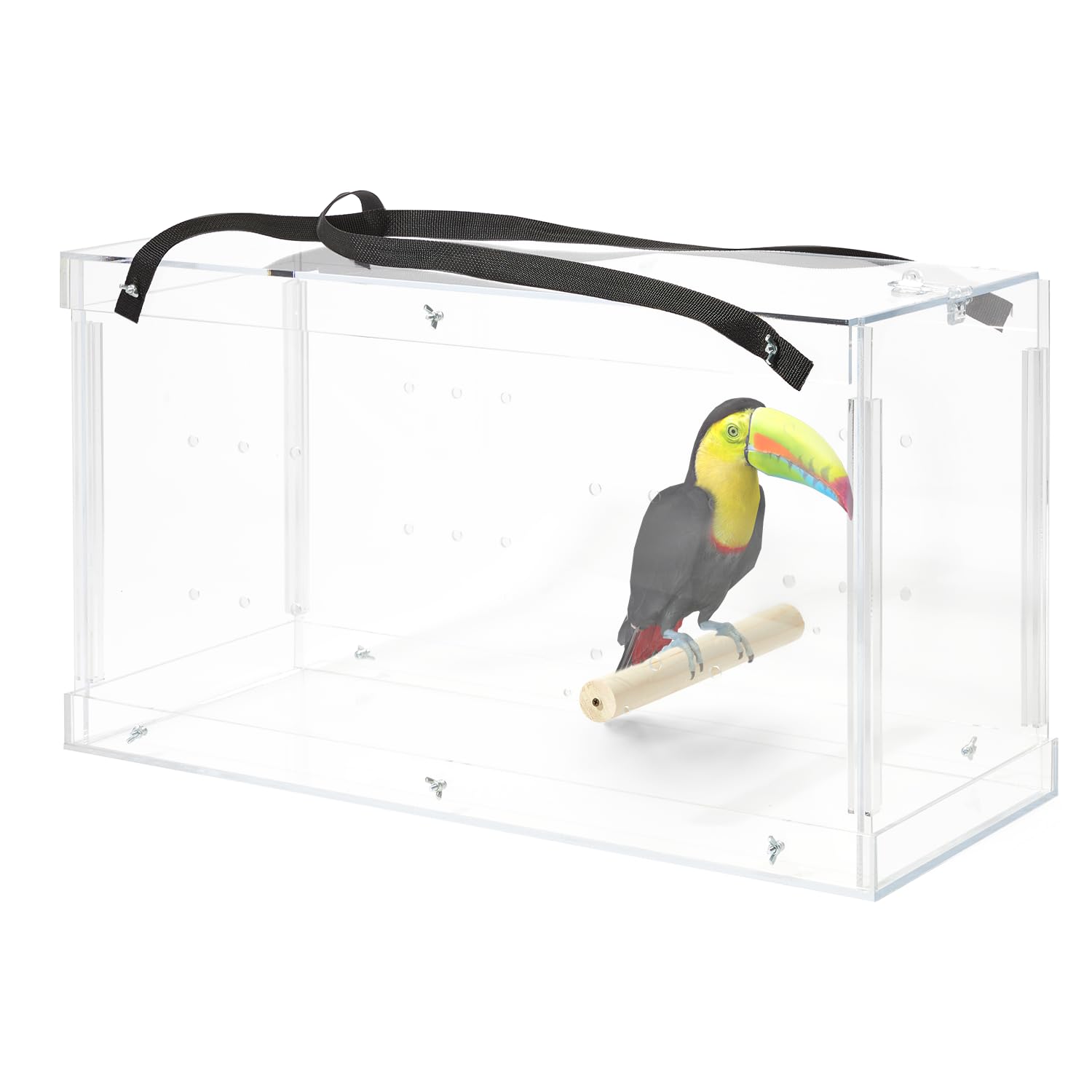 Macaw Acrylic Carrier, Large Bird Carrier, Crystal Clear Acrylic Bird Carrier, Bird Travel Carrier, Acrylic Bird Transporters