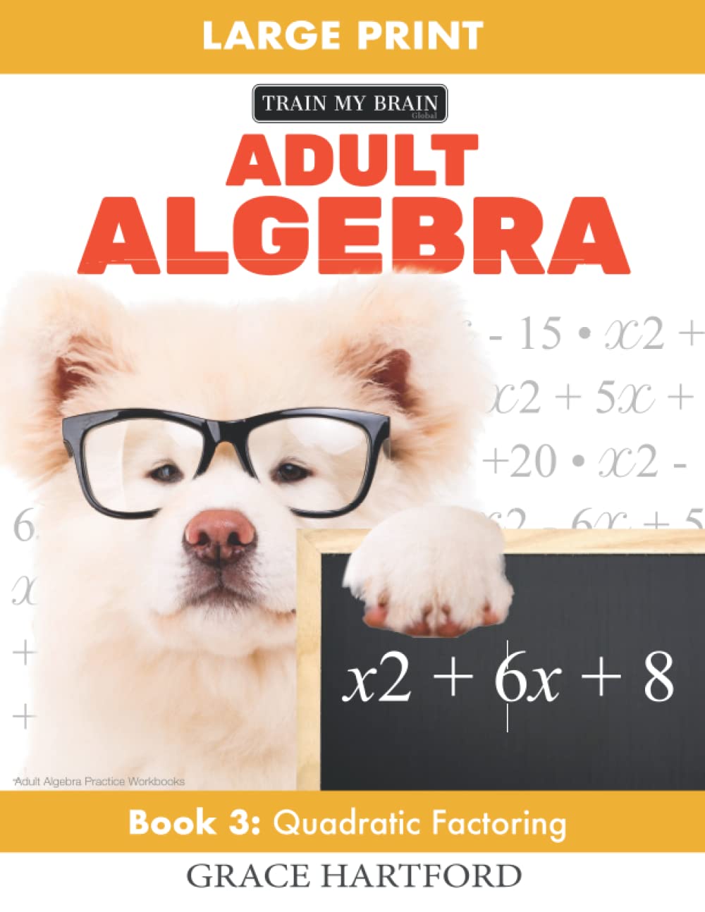 Adult Algebra: Book 3: Quadratic Factoring (Adult Algebra Practice Workbooks)