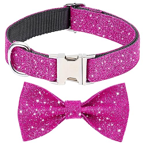 Jumpress Girl Dog Collar with Bow,Bling p{E^C̎ ^ ^ ̎Ux̃p[eB[p (zbgsNAlbNtBbg13-19C`)