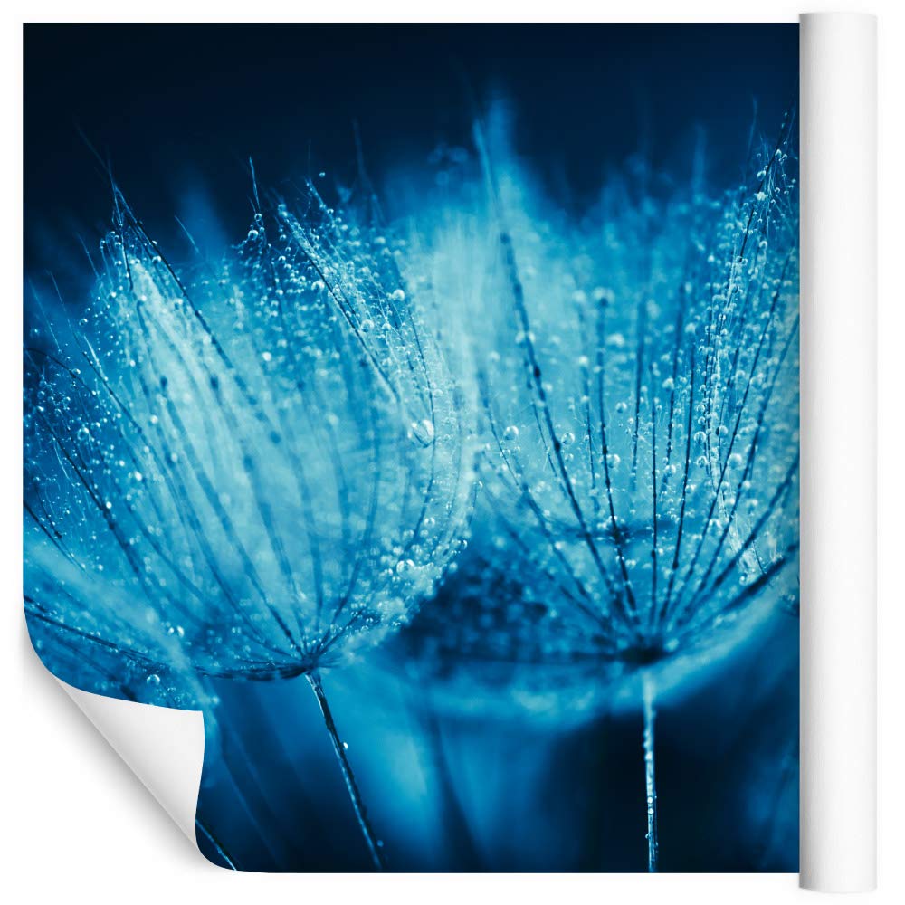 Muralo Fototapeta z włókniny 400 x 280 cm, naturalna tapeta ścienna, flora, kwiaty, dmuchawiec, salon, sypialnia, nowoczesne obrazy ścienne XXL, dekoracja ścienna, szer. 400 cm x wys. 280 cm