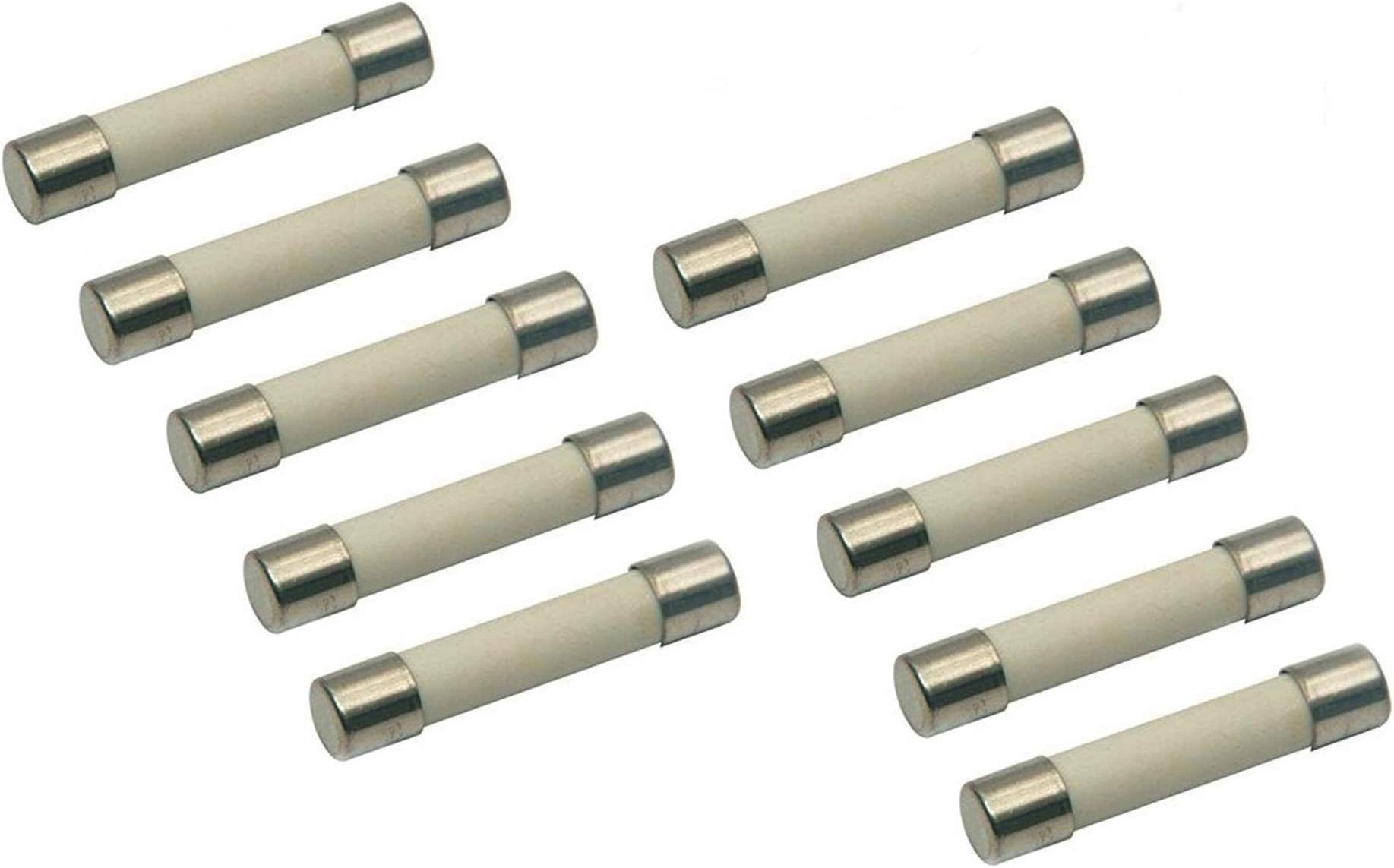 (10 Pack) Microwave Replacement Fuse, 20A, 250V, Ceramic Line Fuse, Fast Blow Microwave Fuse