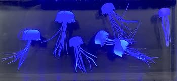 イシグロ アクアリウムクラゲ ワイド　W450×H245×D70ｍｍ　未開封 Amazon.co.jp: イシグロ アクアリウムクラゲ ワイド W450×H245