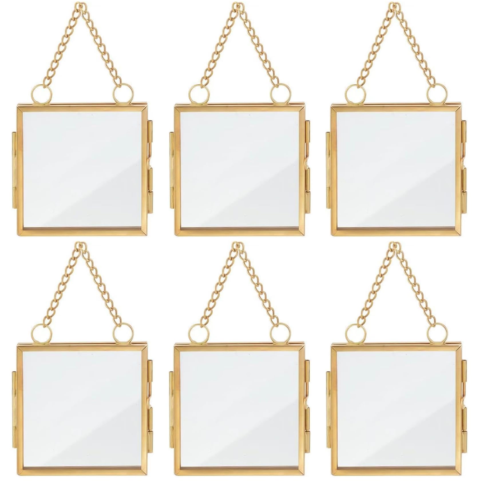 Cadre en verre pour fleurs pressées lot de 6 avec double vitrage doré et chaîne métallique