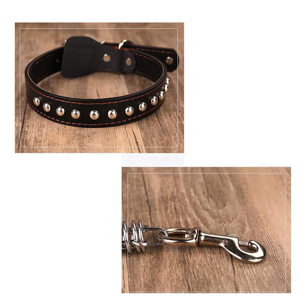 REYG Corde De Laisse pour Animaux De Compagnie à Main,Blue