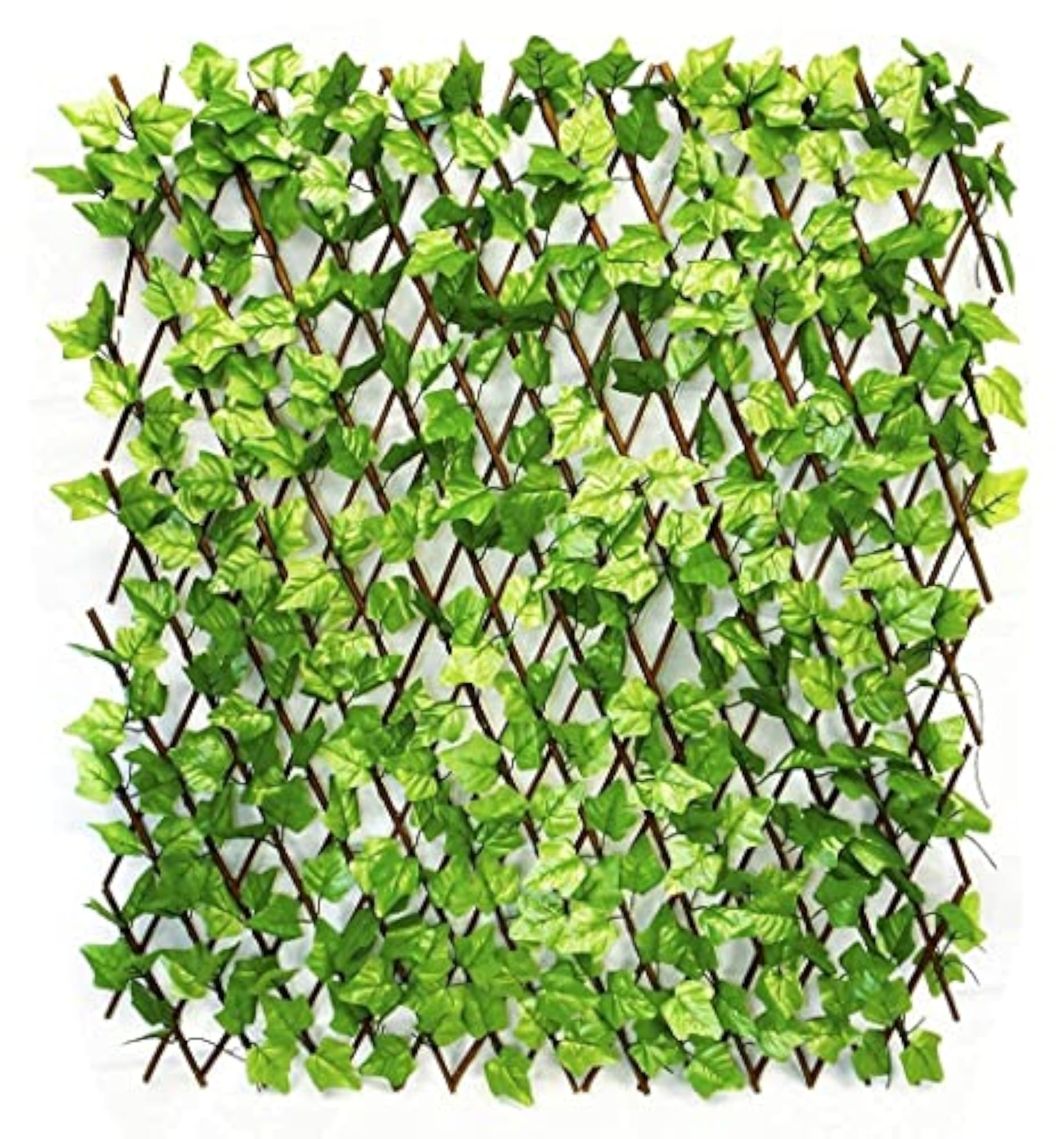 Money Plant Expanding Artificial Fence Grass