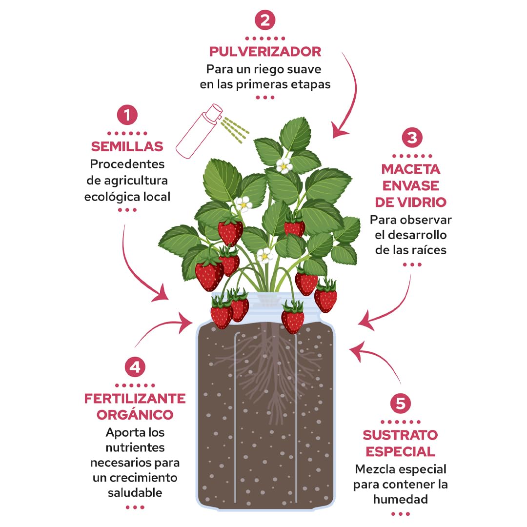 Kit Cultivo Fresas Interior – Maceta con Semillas, Sustrato, Fertilizante y Pulverizador – Regalo Original para Casa y Cocina – Garden Pocket