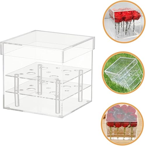 Miniatura 2 de NOLITOY 2 unids transparente caja de rosas florero de vidrio contenedores soporte de flores acrílico flor sostenedor transparente preservado flor