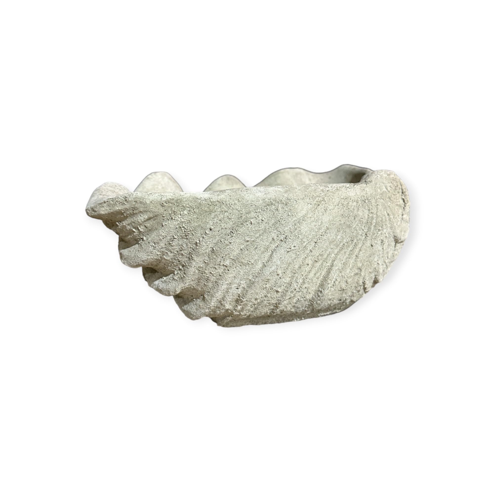 OriginalPaul Skulp & Betondesign Vogeltränke Muschel - Handgefertigt aus frostresistentem Beton (Höhe 13cm / Breite 39cm / Tiefe 26cm)