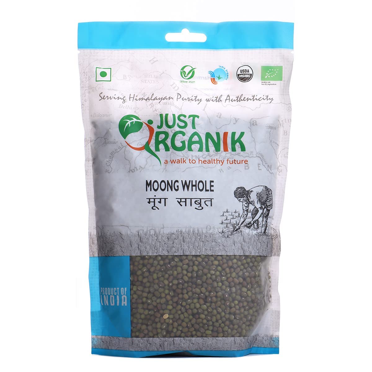 Moong Whole 500gm haricot mungo vert sec pour dhal traditionnel