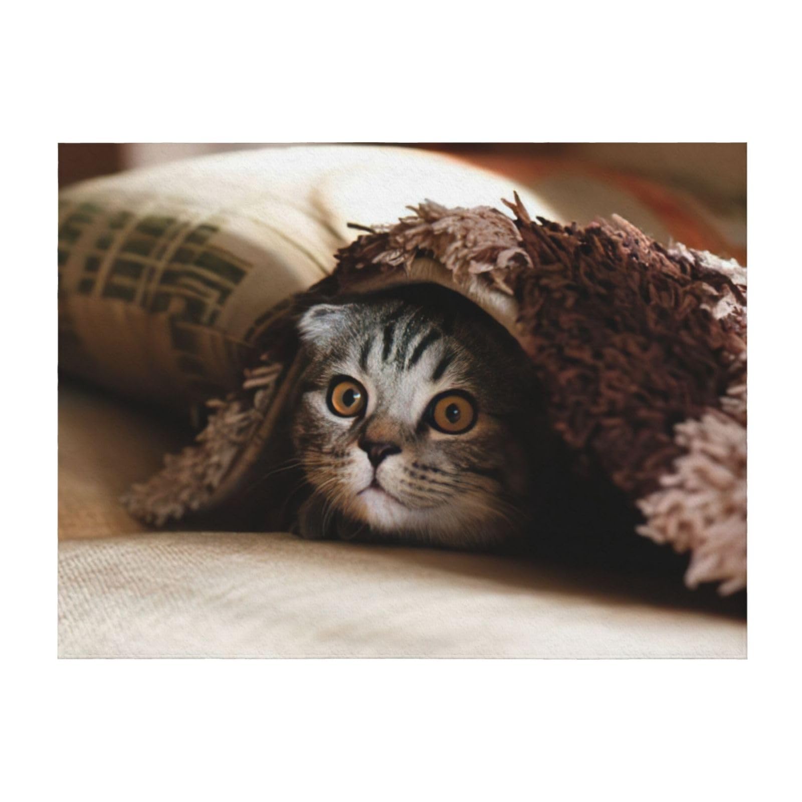 Couverture de lit motif chat EdWal en microfibre douce toutes tailles