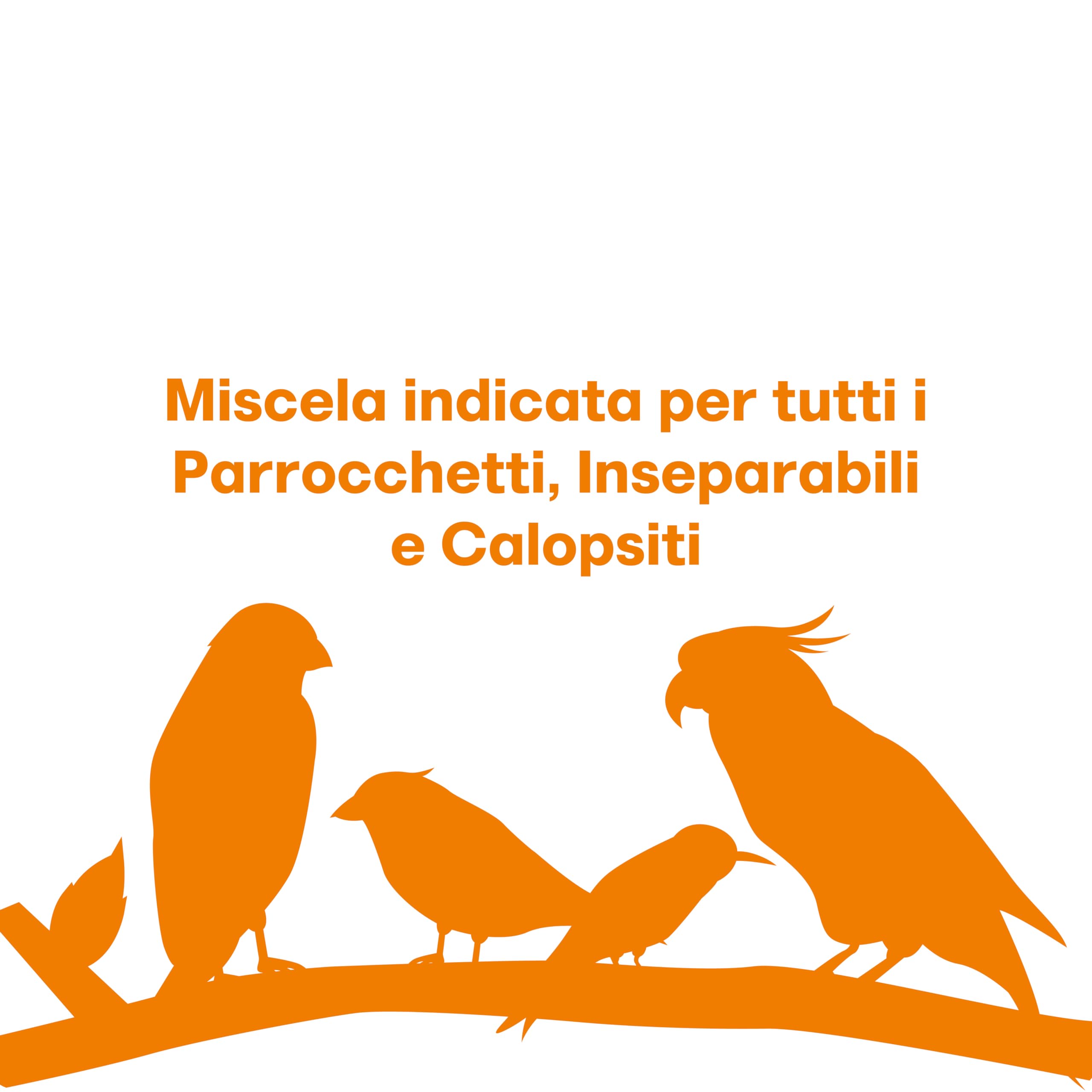 Il Contadino - Antichi Becchimi | MISCUGLIO per PARROCCHETTI | Formula ricca di semi Selezionati adatta per tutto l'anno, No OGM, 100% Vegetale, Assenza di scarti. Qualità Superiore (20 Kg)