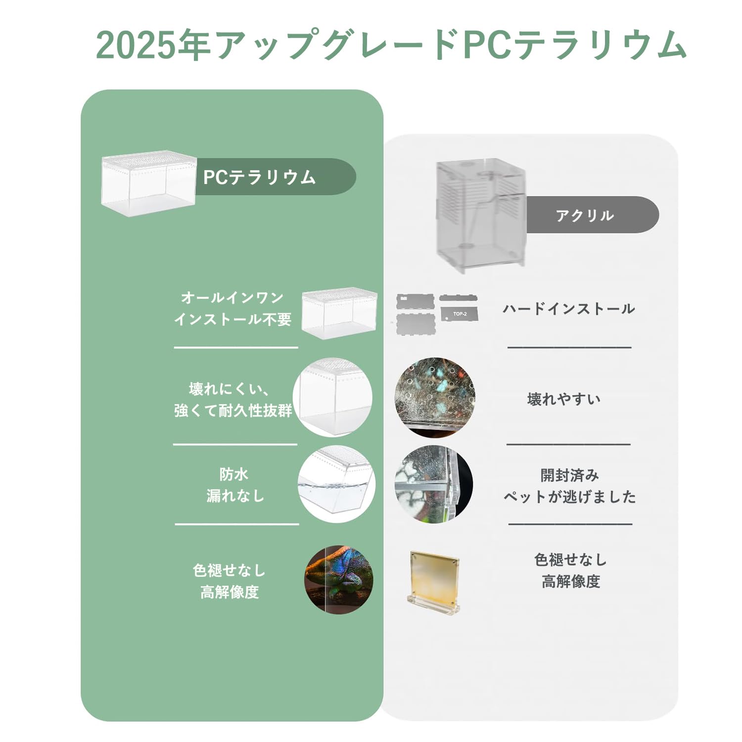 Amazon | PC 爬虫類テラリウム、ヒョウモントカゲモドキ水槽