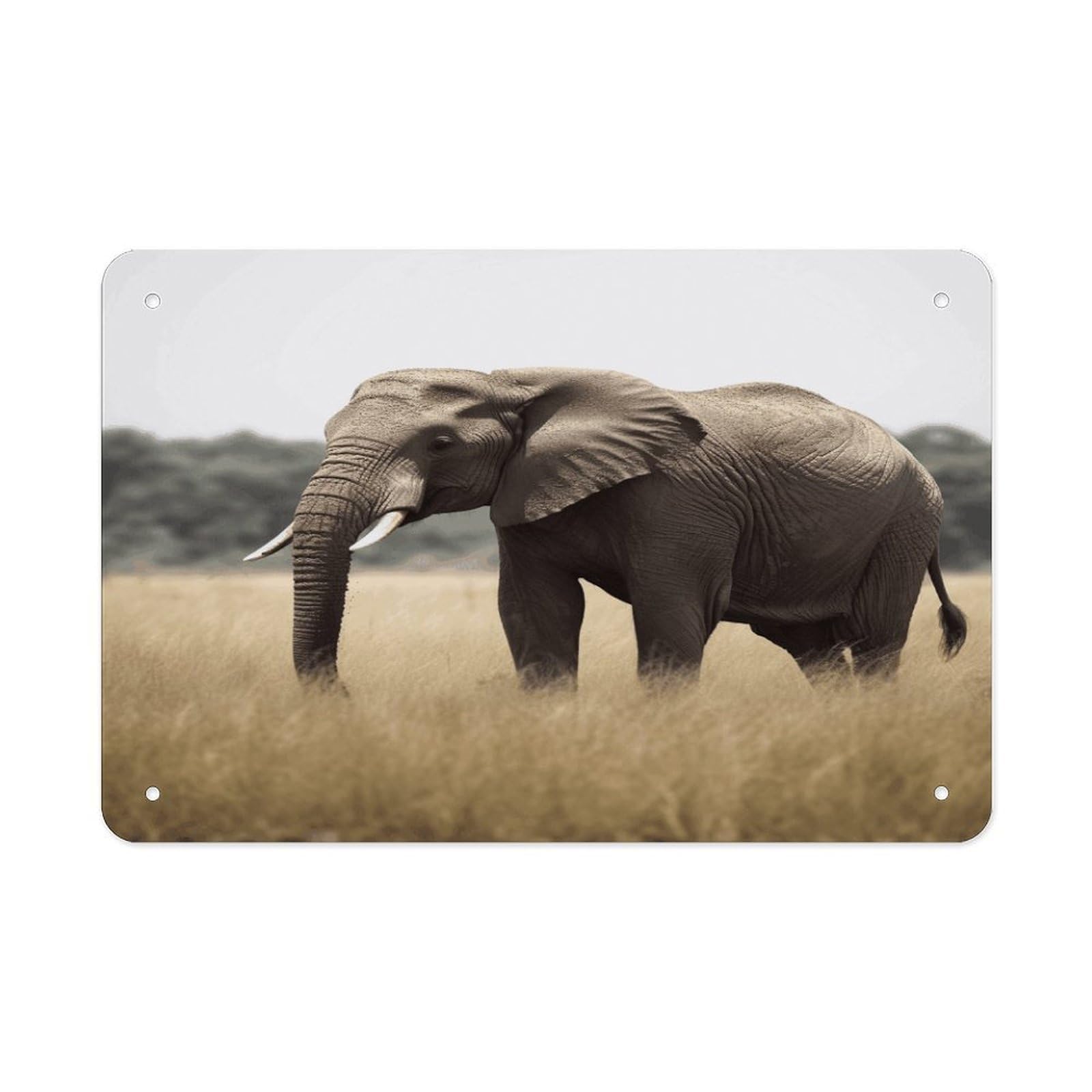 Fodpand Style Elephant Wall Art Metal Signs Tin Sign