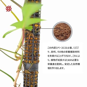 モスポール水苔入り済 生産プロの秘訣植物用上り棒20本まとめ29cmサイズ モスポール水苔入り済 生産プロの秘訣植物用上り棒20本まとめ29cmサイズ