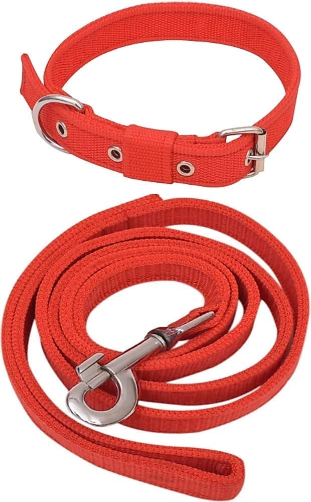 DOSAN Dog Neck Collar Belt and Leash Set (Red Color, Waterproof, Medium, Leash Size 1.5M-2M(1INCH Wide) (B0C5G4W2Y9) Amazon Price History, Amazon Price Tracker