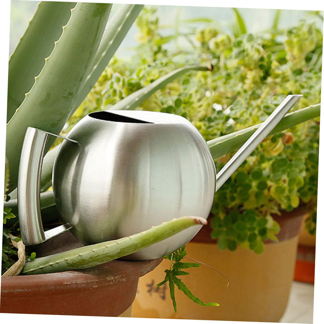 POPETPOP 1pezzi Annaffiatoio Inossidabile Beccuccio Utensile Per Irrigazione Per Ed e Facile