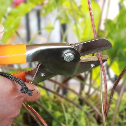 Trustbasket Premium Garden Secateurs