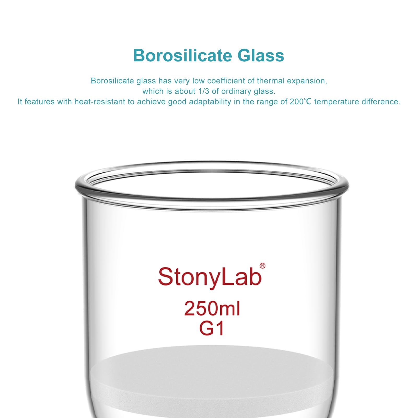 stonylab Entonnoir Büchner en Verre Borosilicaté, Filtre à Vide avec Fritté Grossier (G1), Diamètre de Disque 76 mm, Profondeur 80 mm, Joint Rodé Standard 24/40, Capacité 250 ml
