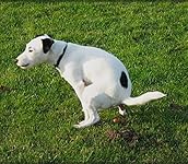 Review Image by Michael W. Michael W.