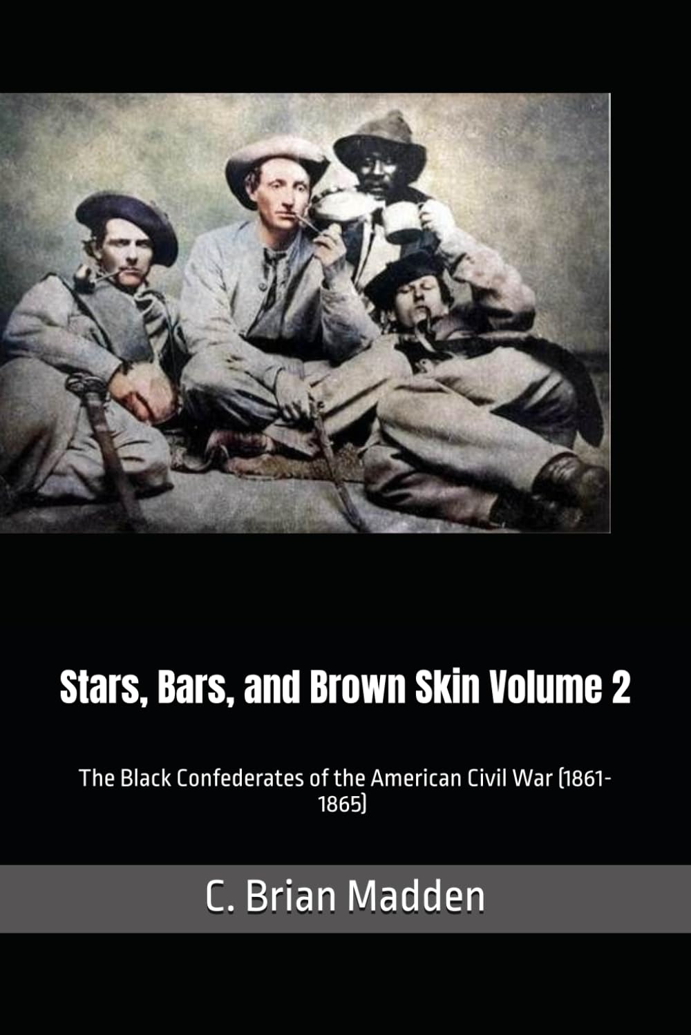 Stars, Bars, and Brown Skin: The Black Confederates of the American Civil War (1861-1865) Volume 2