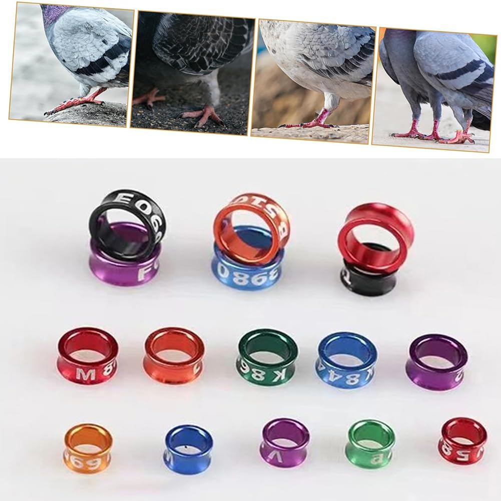 Tobillera de Paloma de Colores Mezclados de 4mm-8mm, Anillo para Pierna, Tobillera, Anillo de Entrenamiento para Paloma, Anillo para Pierna de aleación de Aluminio(número Aleatorio)