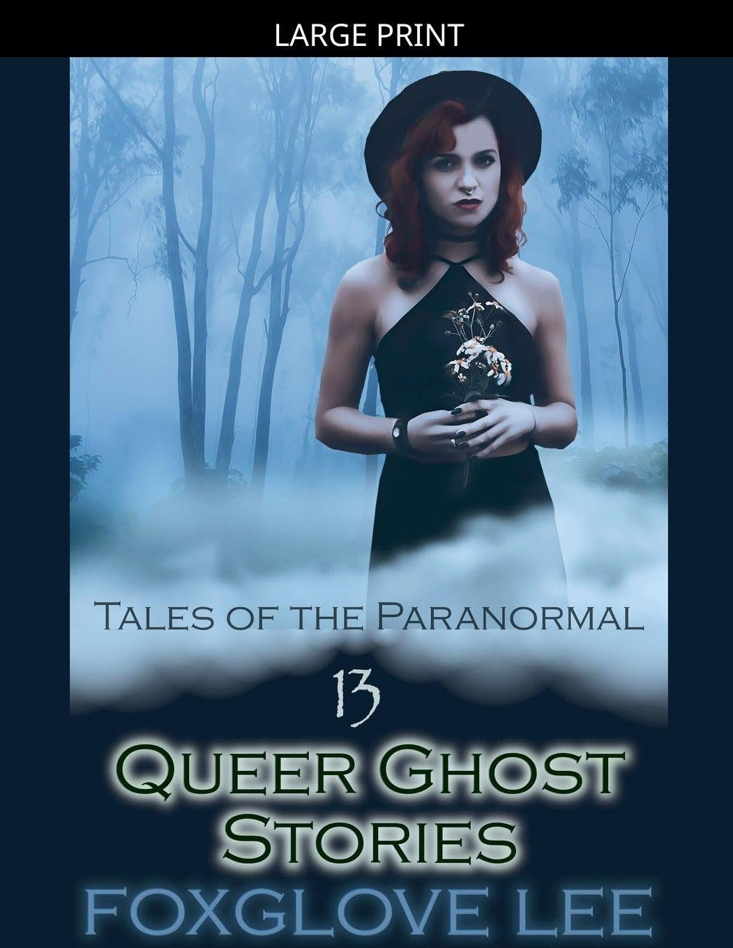 13 Queer Ghost Stories