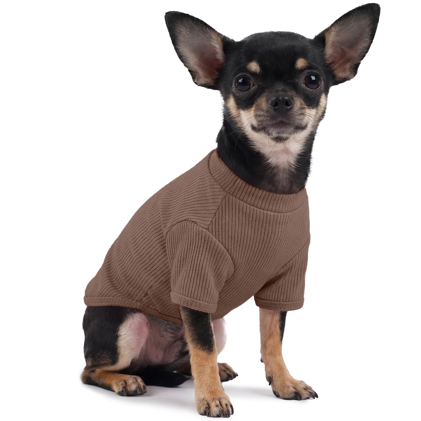 Dog T-Shirt, Lightweight Ribbed Stretch Tee for Small Dogs