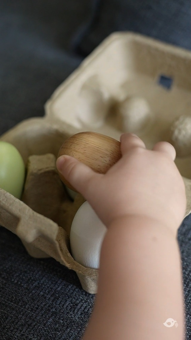 Huevos Magnéticos De Madera Con Yemas De Animales – Juego Educativo De Colores Para Pascua Y Cumpleaños