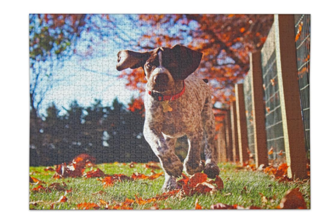 Ravensburger Fotopuzzle 2000 Teile mit eigenem Bild Metallbox Hochformat S | 2000 Teile, Zum Selbstgestalten, Personalisierte Fotogeschenke, Für Kinder und Erwachsene