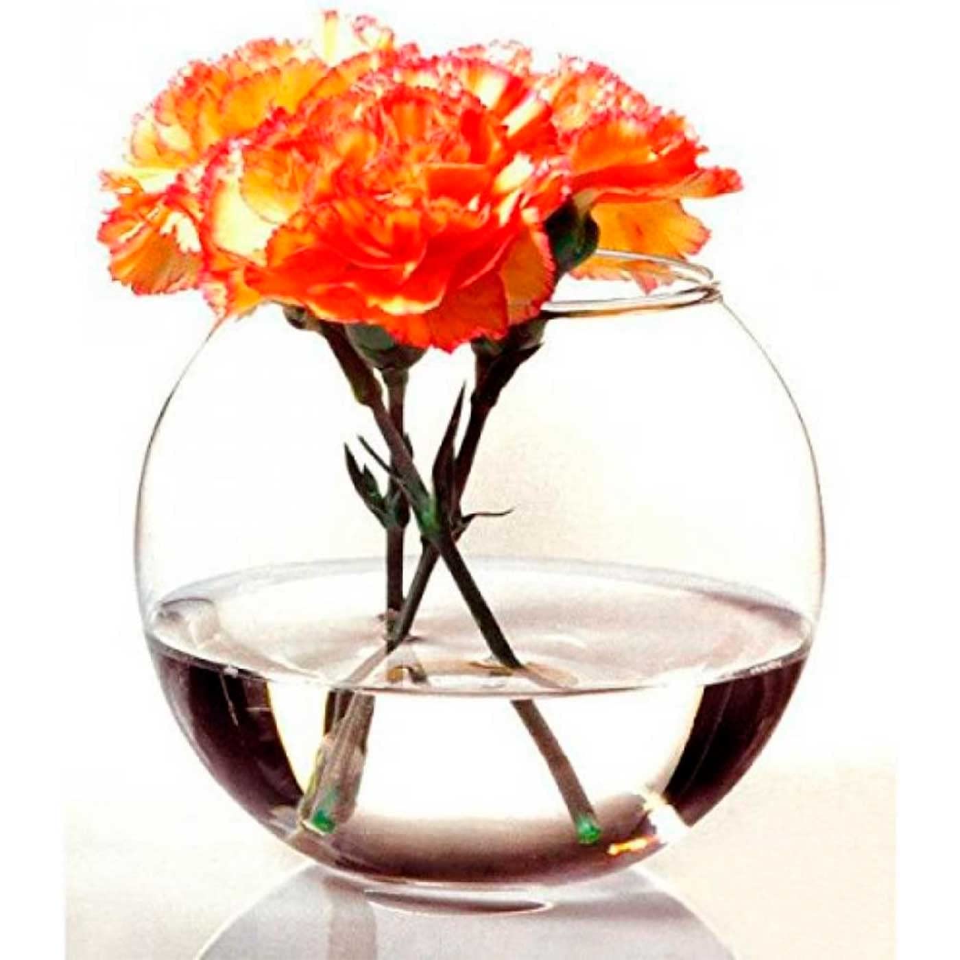 Acan Tradineur - Pecera Redonda de Cristal, Acuario esférico, Globo pequeño para Peces, Mascotas, decoración de Interior, hogar (Transparente, 20 x 16 cm)