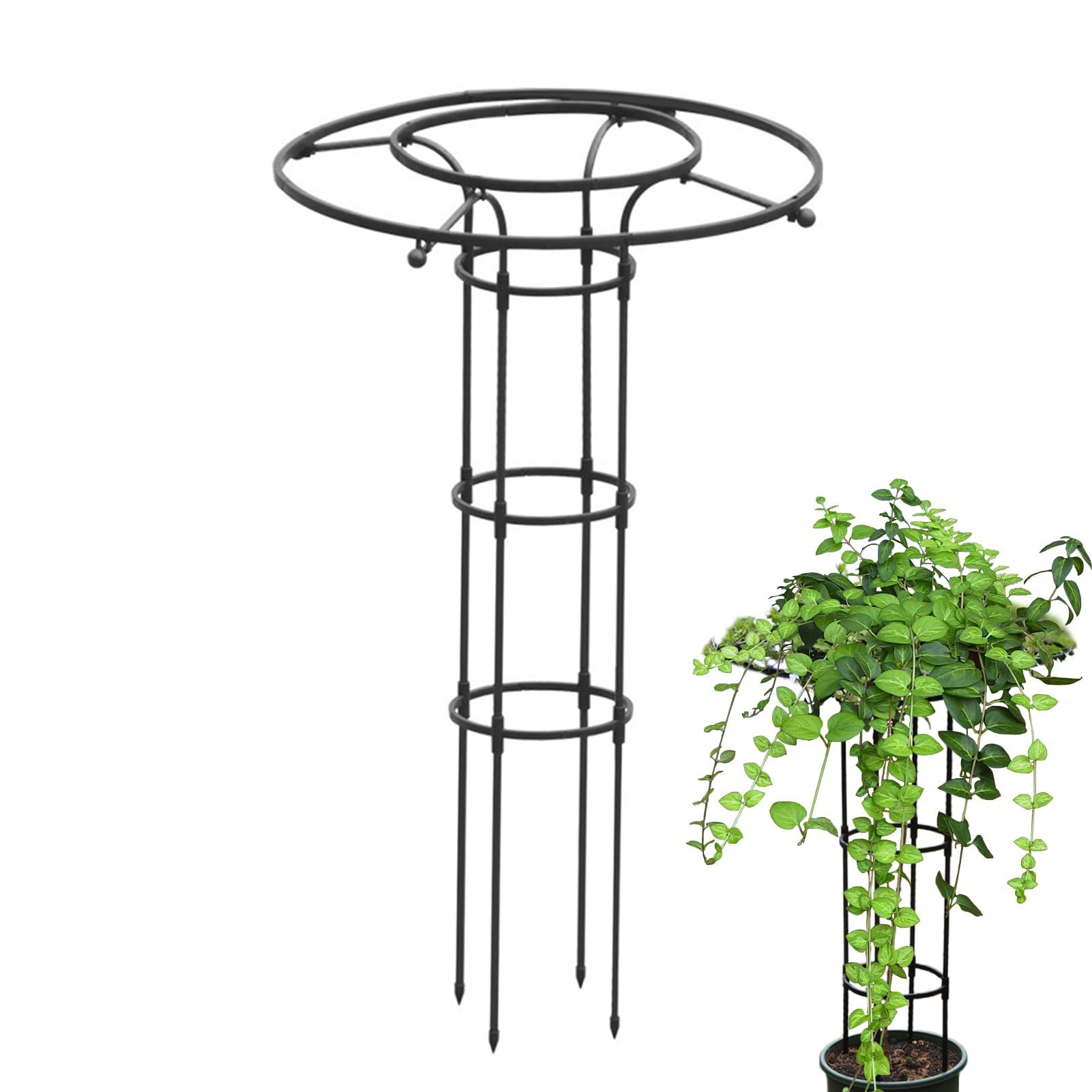 Support pour plantes grimpantes potager légumes fleurs tuteur métal