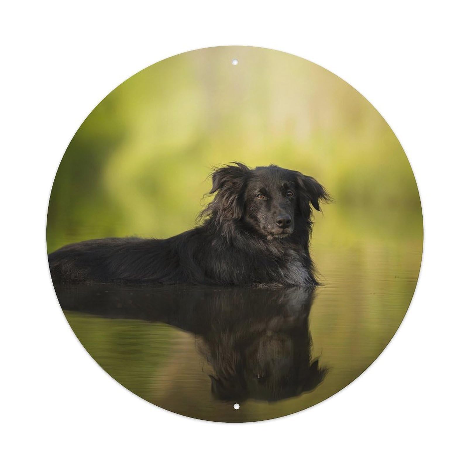 Cwbufd Vintage Style Animal Black Long-Haired Dog Calming Nature Scene Serene Water Reflection Vintage Metal Tin Sign Plaque Wall Decor For Cafe, Club Bar, Office, Garden Metal Poster 8X8inch