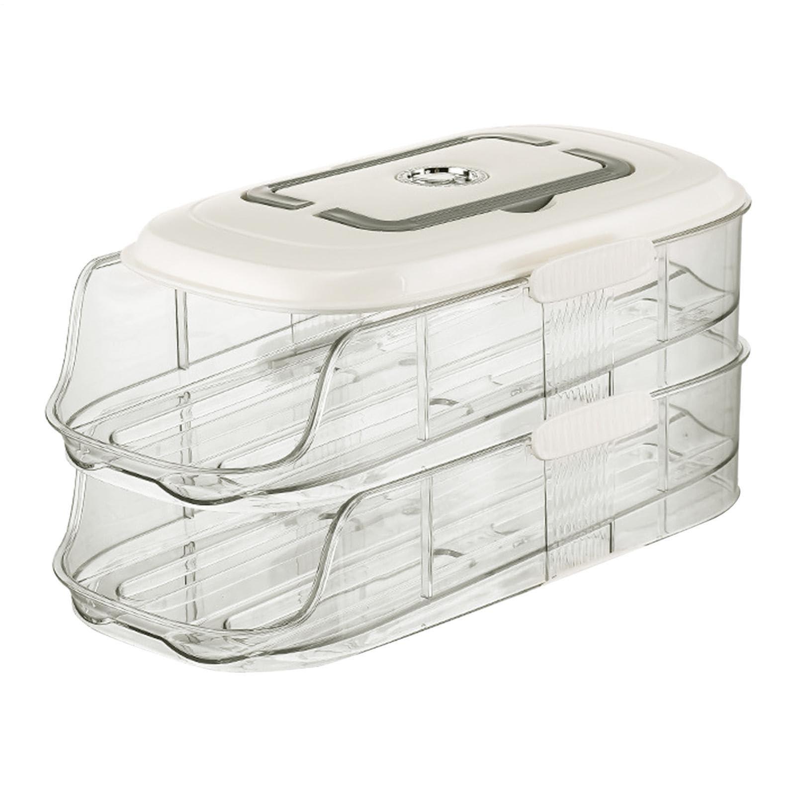 Portahuevos transparente portátil de 2 niveles con tapa protectora y asa superior