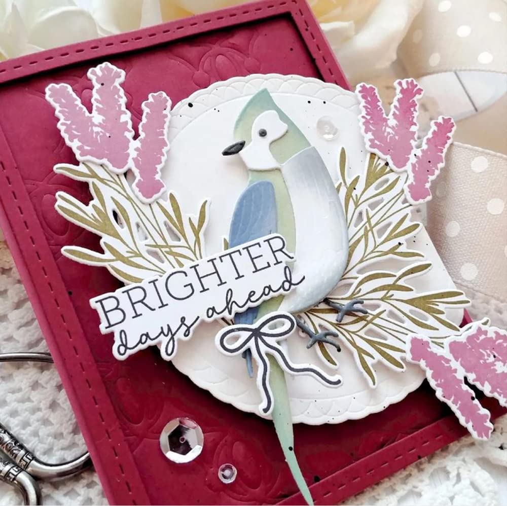 Matrices De Découpe En Forme D'oiseaux Pour La Fabrication De Cartes