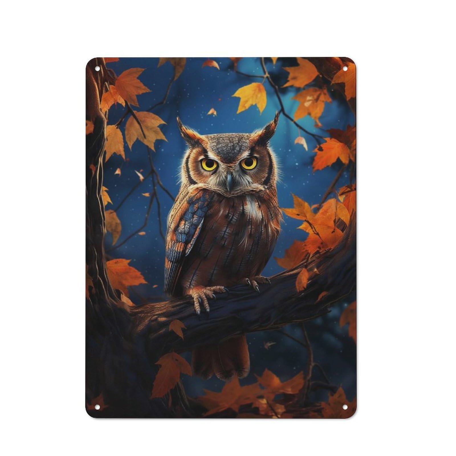 Fantasy Owl Cottage Style Metal Wall Decor 40x30cm, Farmhouse Metal Sign for Kitchen, Cottage, Porch Or Garden Room
