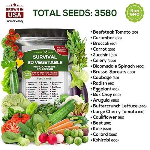 20 Heirloom Vegetable Seeds For Planting - 100% Non Gmo - Most Popular Garden Vegetable Seeds Variety Pack - Cucumber, Carrot, Broccoli, Radish, Kale, Zucchini, Cabbage, Beet, Arugula, Celery And More #TOP1