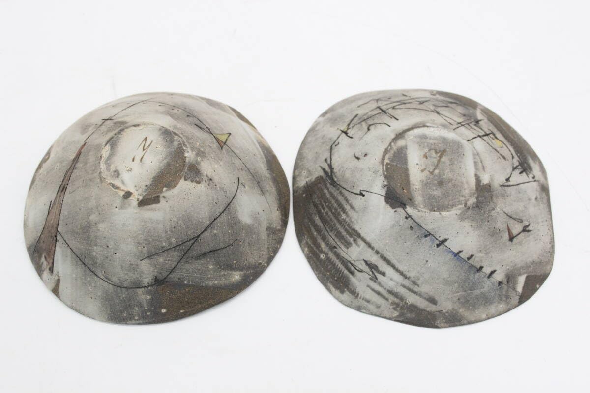 Amazon.co.jp: 駒澤博司 水彩風食器 皿8枚セット 陶器 陶芸 伝統工芸