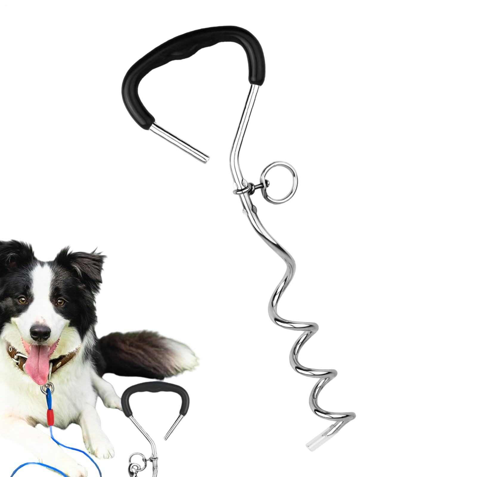 Picchetti per cani per terra, picchetti per legare cani, picchetti per legare i cani, resistenti e a prova di torsione, da attaccare al cavo e per campeggio, sfondo, cortile, spiaggia
