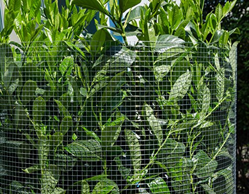 Niederberg Metall 25m x 100cm Volierendraht - Feuerverzinkt 19x19 Maschendrahtzaun Kaninchendraht – Bild 7