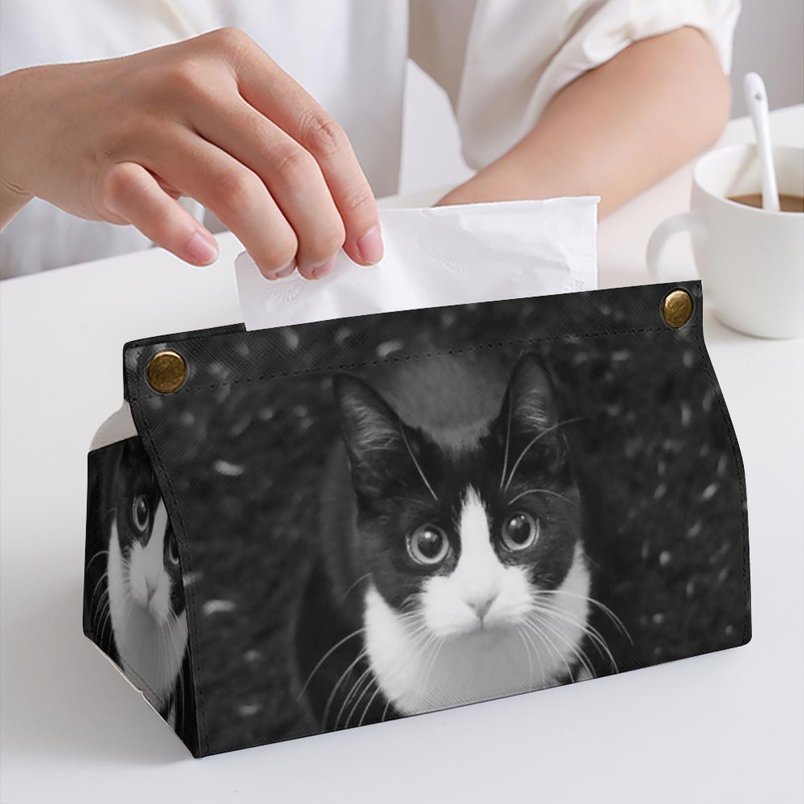 Amazon｜ティッシュケース 猫 八割れ猫ちゃん ディアーアニマルズ