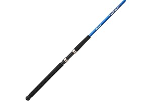 Shakespeare Micro Series Spinning Rod: Enhanced Sensitivity for Anglers