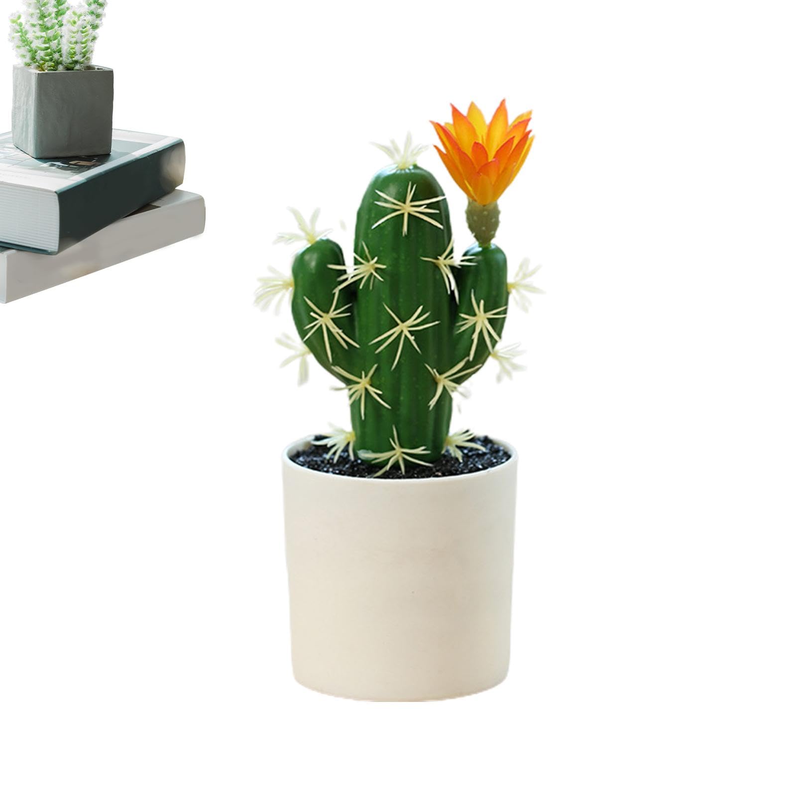 Amazon.de: Knstliche Kakteen, knstliche Kakteen, knstliche Sukkulenten,  niedliche Kunstpflanzen, Schreibtisch-Kaktus, kleine knstliche Kakteen, ...