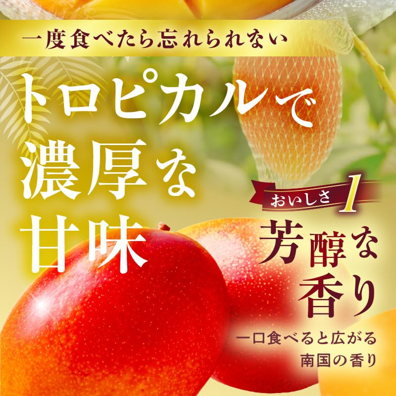Amazon.co.jp: ワールドワイドトレード 宮崎県産 完熟マンゴー 2L×2玉