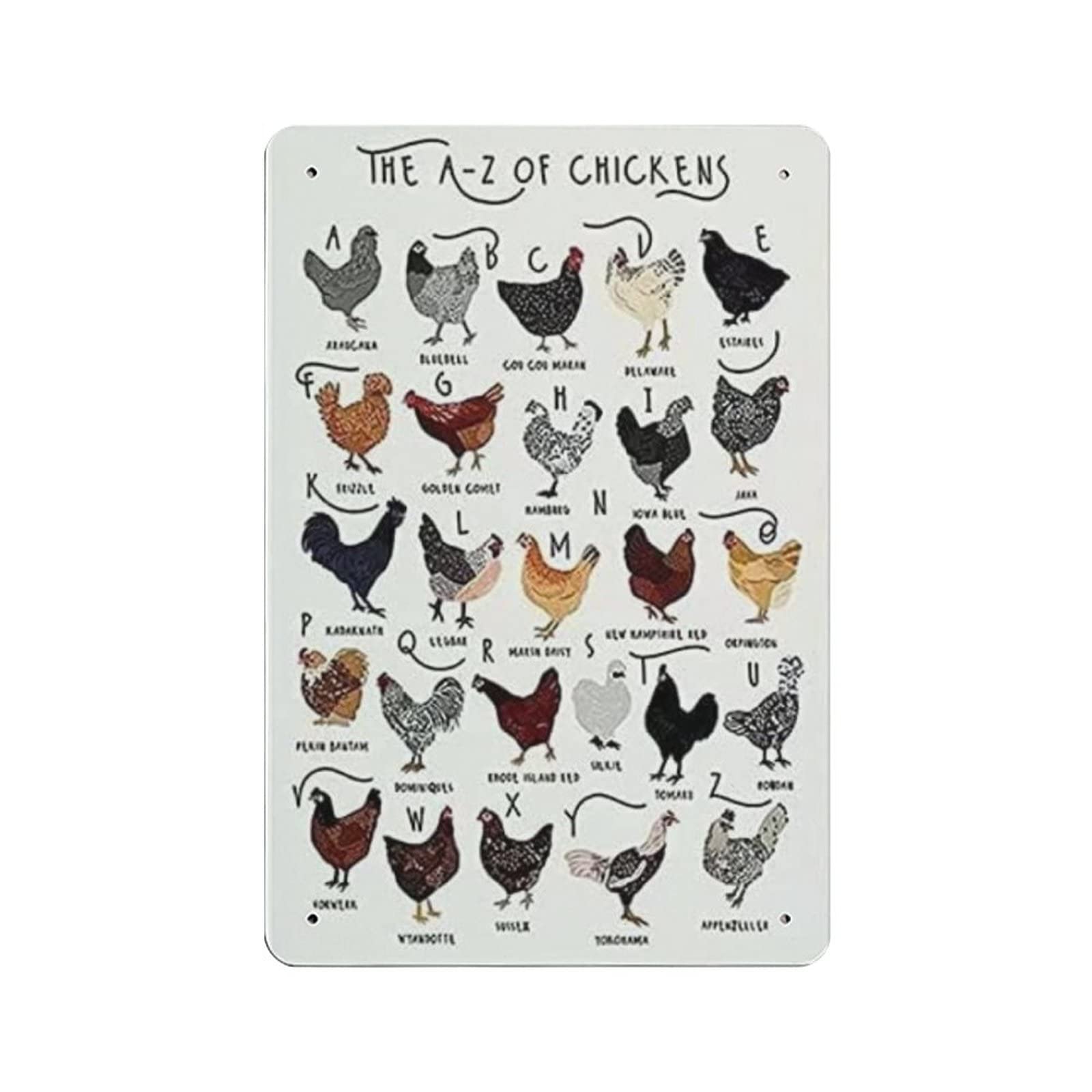 AOOEDM Chickens Knowledge Metal Signs for Garage Man Cave Bar Kitchen Coffee Tin Sign Nostalgic Wall Decor Signs Vintage Retro Poster