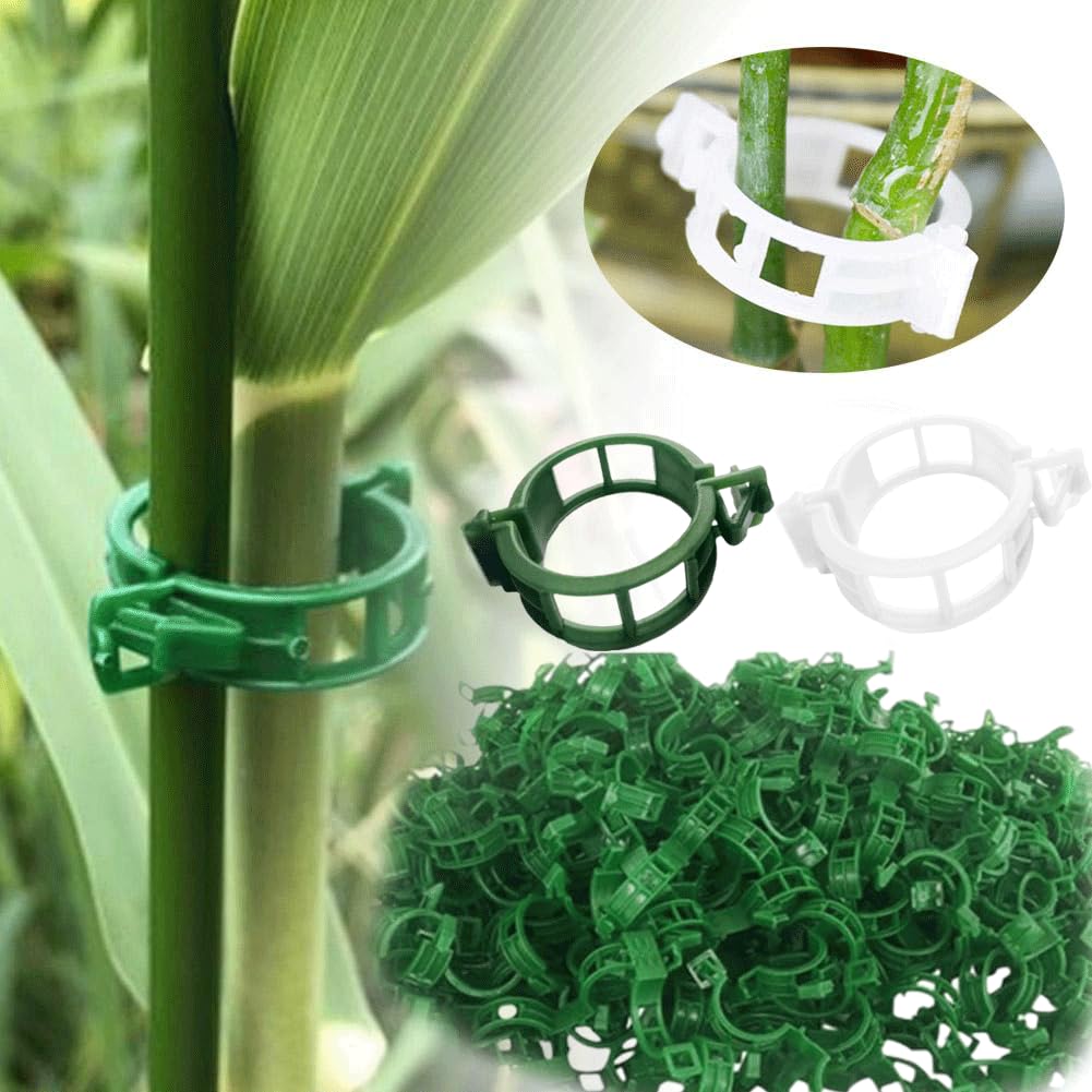 Clip Supporto Piante Rampicanti In Plastica PP 100 Pezzi - Fissaggio Per Pomodori, Uva, Viti, Giardinaggio Verticale - 4