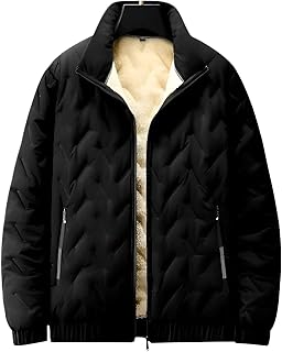 [Bebemax] メンズ立ち襟裏ボアジャケット 防寒コート 裏起毛 中綿ジャケット ジャンパー メンズ ショート丈 ボアフリース 撥水 軽量 厚手 保温 防風 アウター カジュアル 冬物 冬服 暖かい 秋 冬