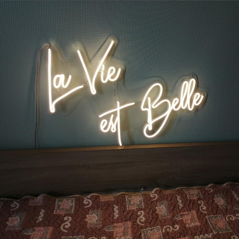 Insegna a LED Insegne al neon francesi Bonjour Luci a led italiane Ciao Lampade da parete decorative notturne Decorazione per feste Luce USB Luminosità regolabile