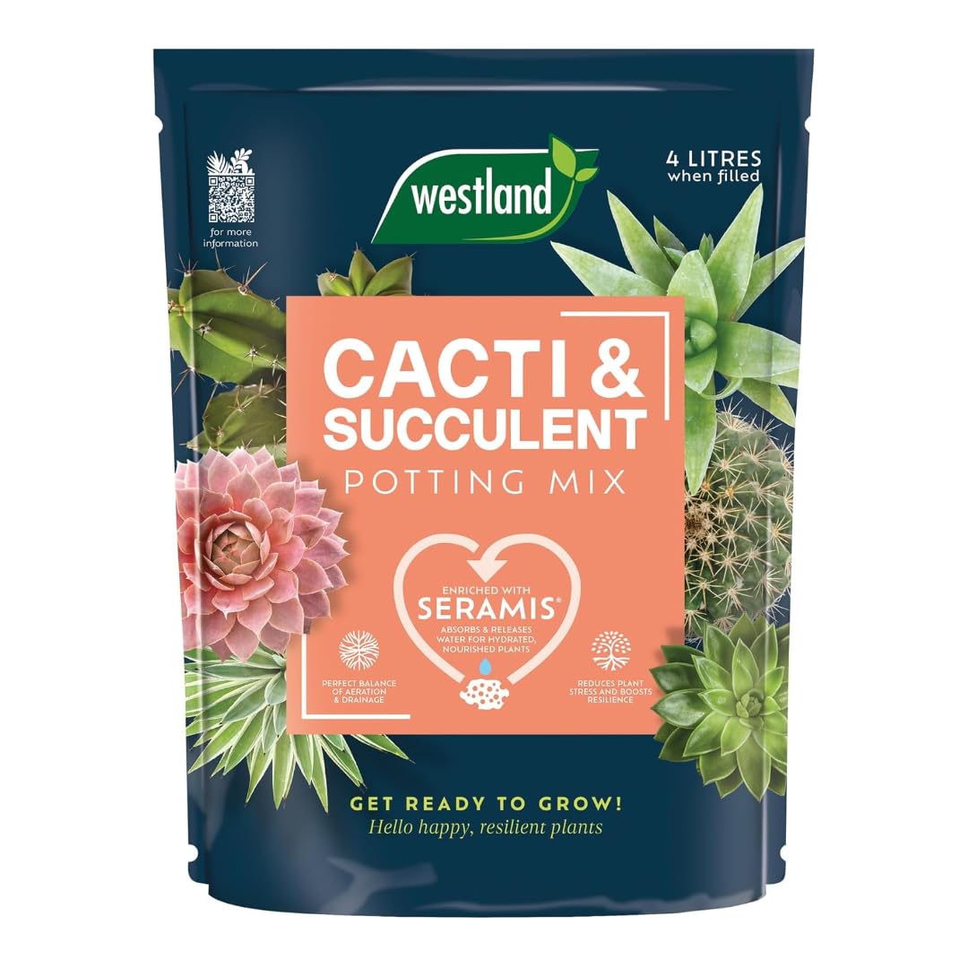 Westland Cacti & Terrarium Potting Mix 4L, Peat Free Cactus & Succulent Compost with Seramis Granules & Sand, Free Draining Growing Medium for Cacti, Succulents & Terrariums